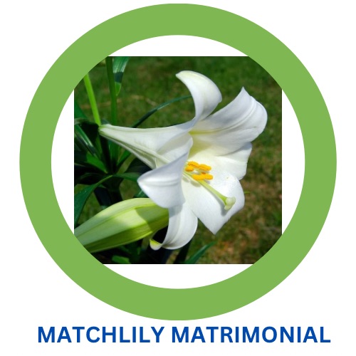 MatchLily Matrimonial
