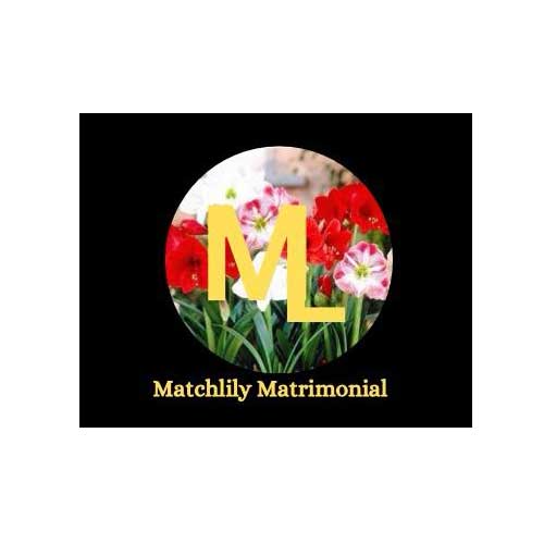 MatchLily Matrimonial